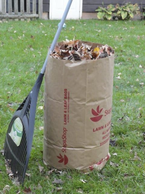 leaf-bag