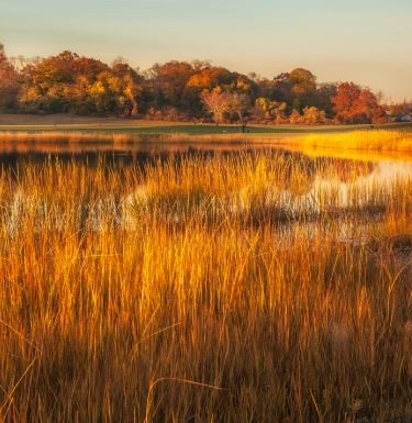 a field in the fall